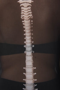 Black Friday - Spine Mesh Top - black