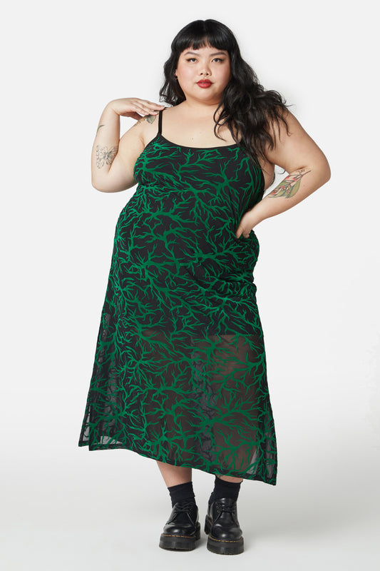Dangerfield - Curve Neglected Flocked Mesh Midi Dress - black-green