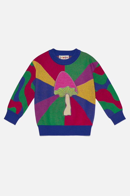 Dangerkids - Holy Shitake Kids Knit - multi