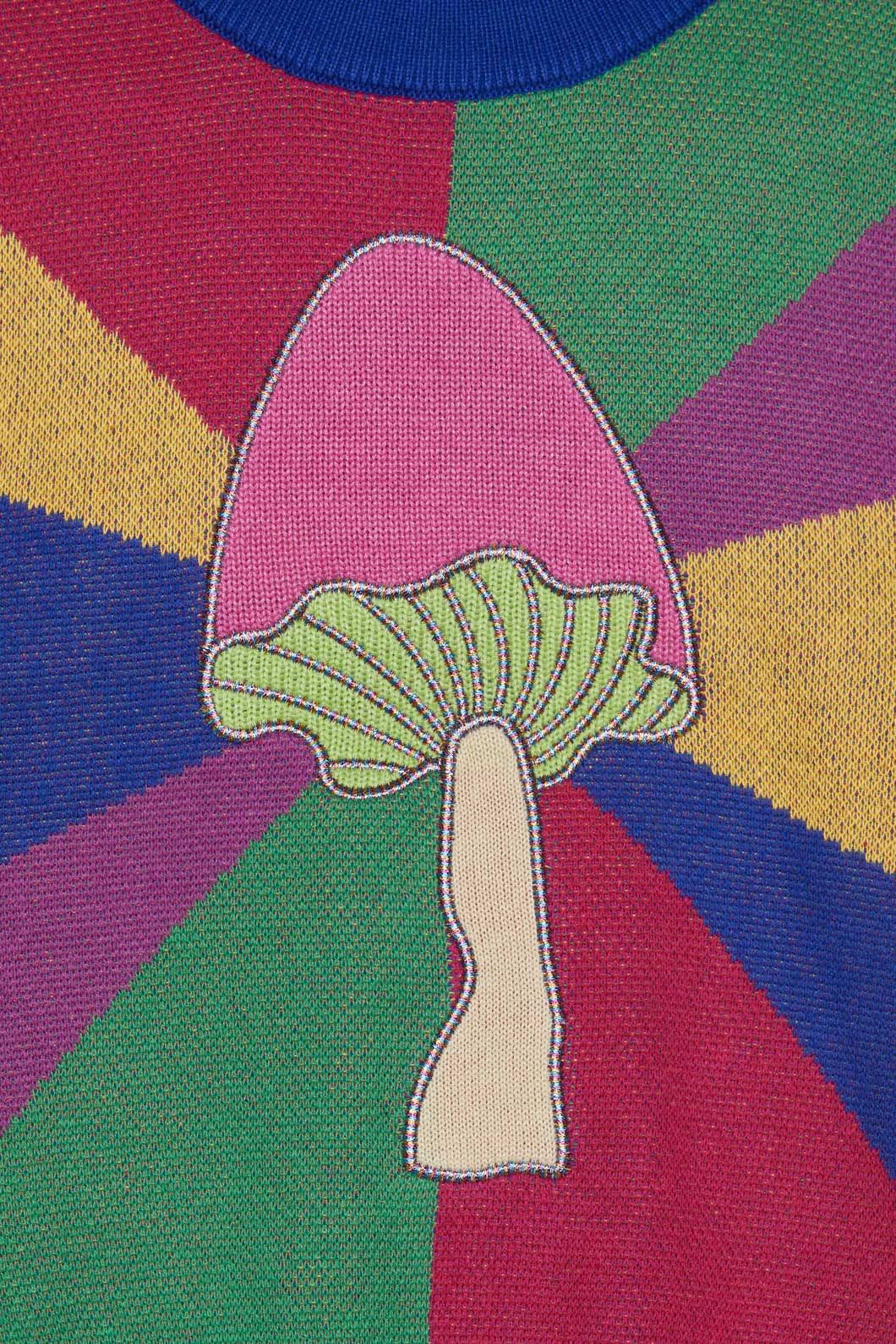 Dangerkids - Holy Shitake Kids Knit - multi