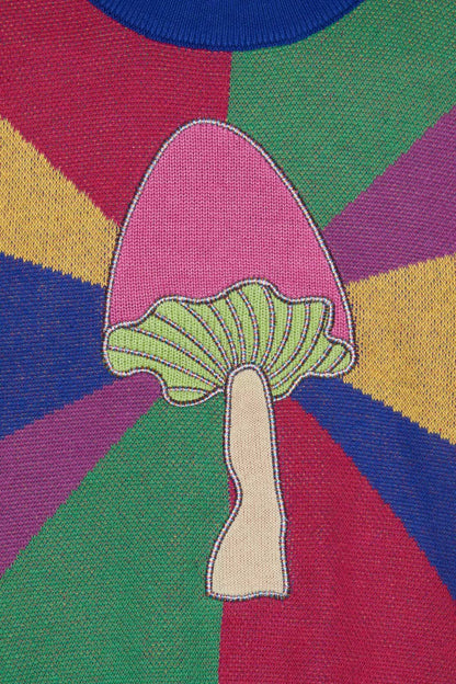 Dangerkids - Holy Shitake Kids Knit - multi
