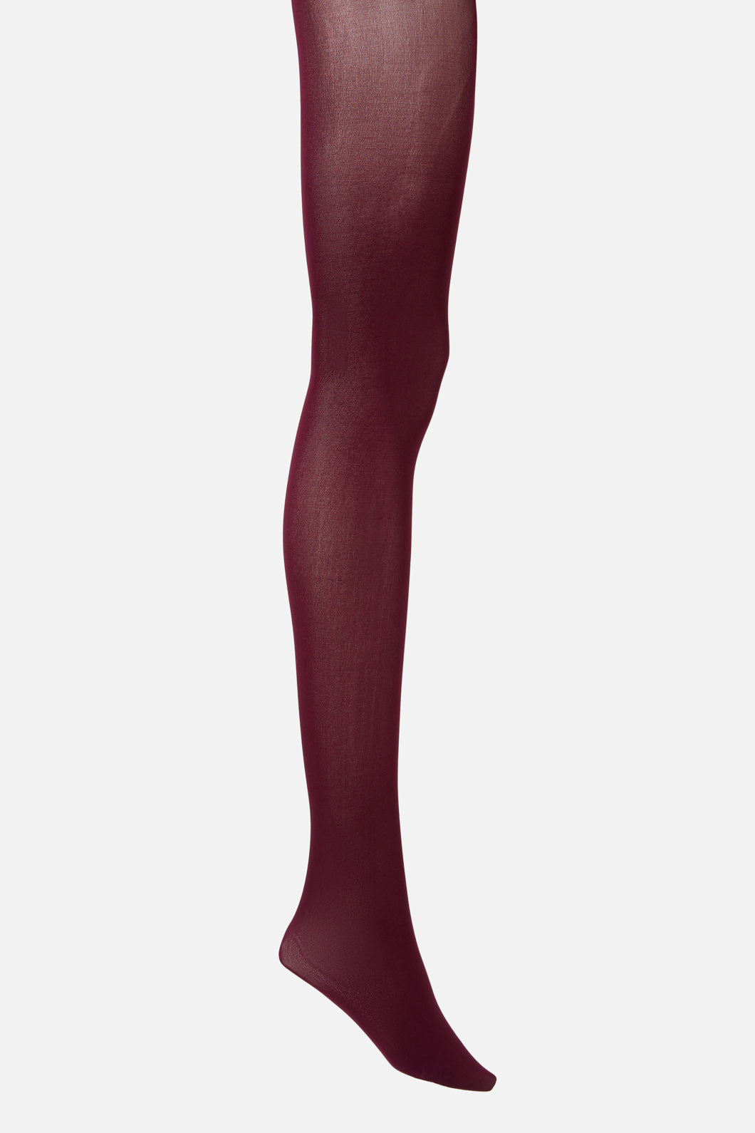 Princess Highway - Plain Tights - burgundy