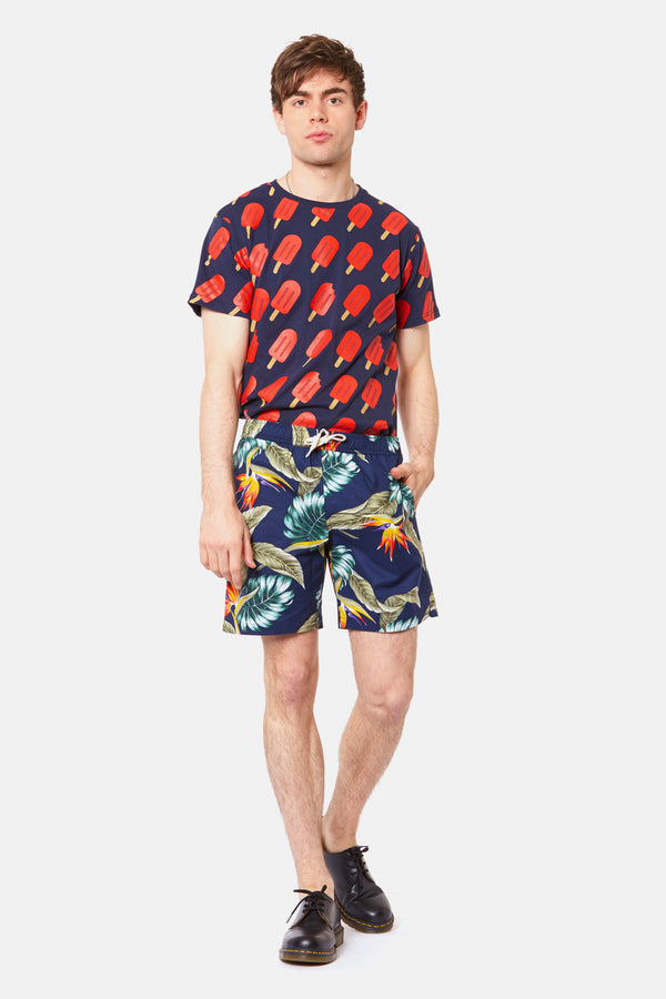 navy